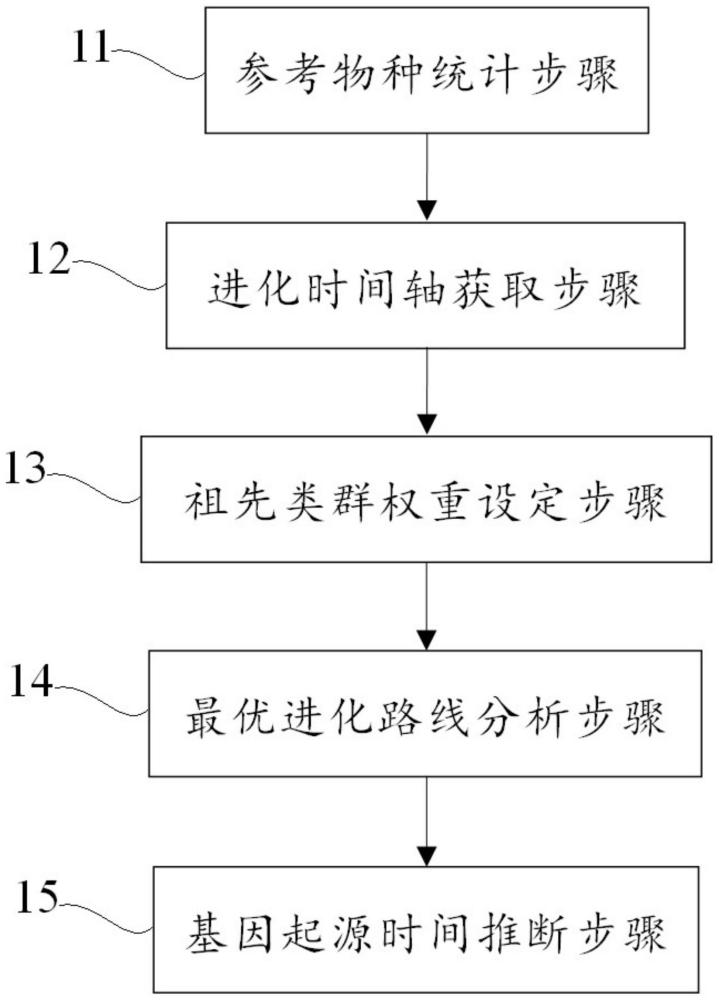 一种推断基因起源时间的方法、装置和存储介质