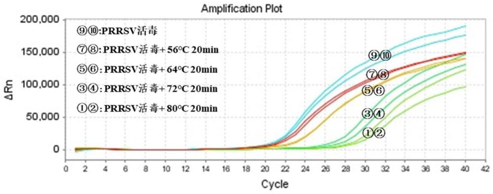 感染性PRRSV的PMA-qPCR通用检测试剂盒和三重鉴别试剂盒