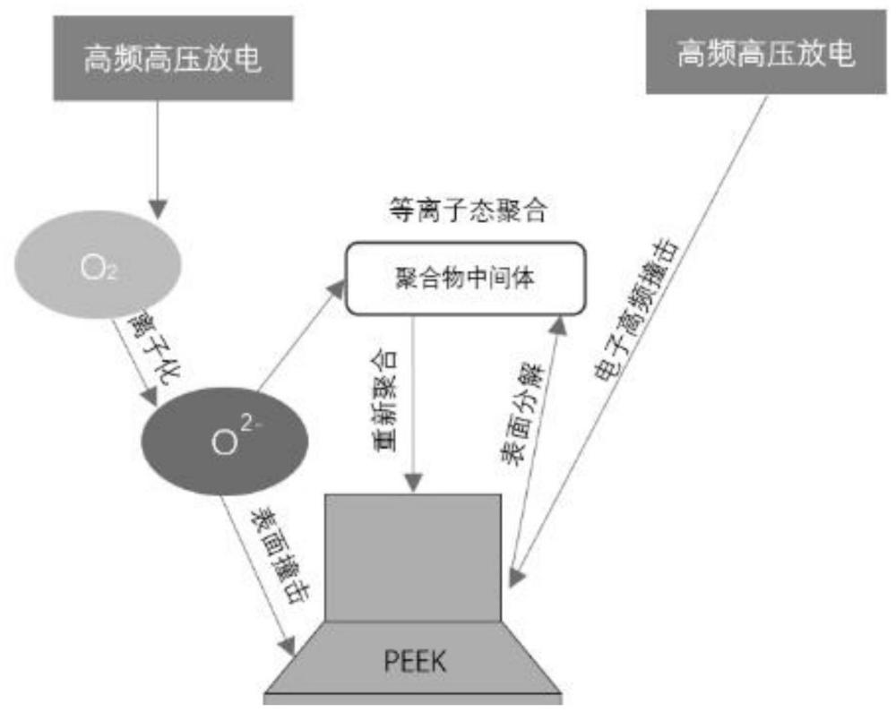 一种通过离子注入制备内窥镜目镜罩的方法及其应用与流程