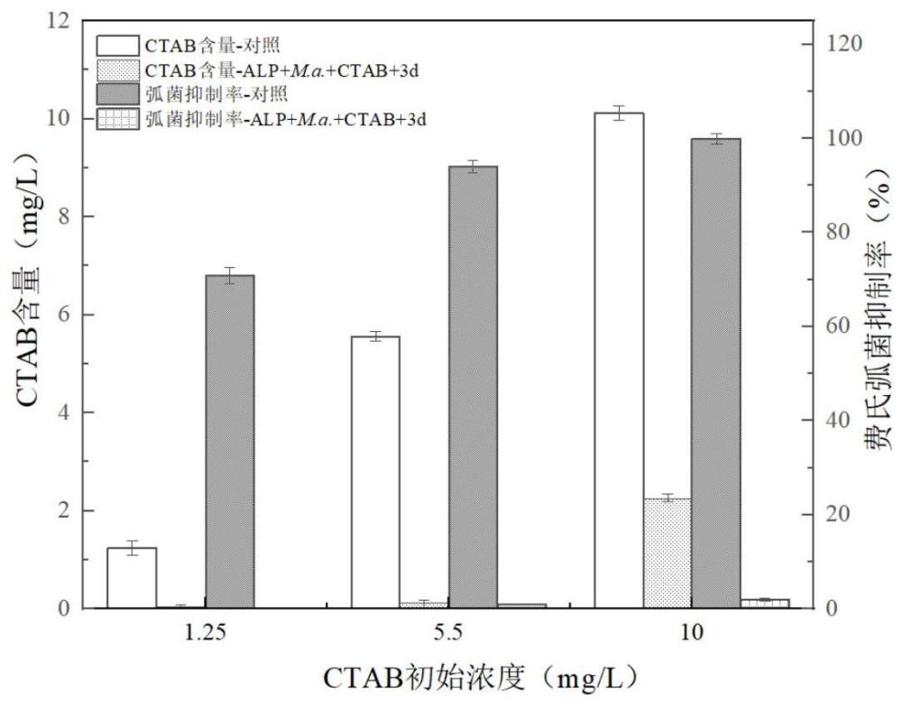 一种利用细菌多糖高效快速去除铜绿微囊藻和CTAB的方法