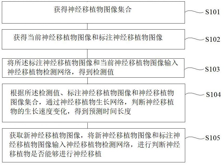 一种组织工程化周围神经移植物的培养方法及系统与流程