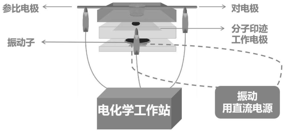 一种用于微升级样品溶液检测的分子印迹电化学传感器及其应用