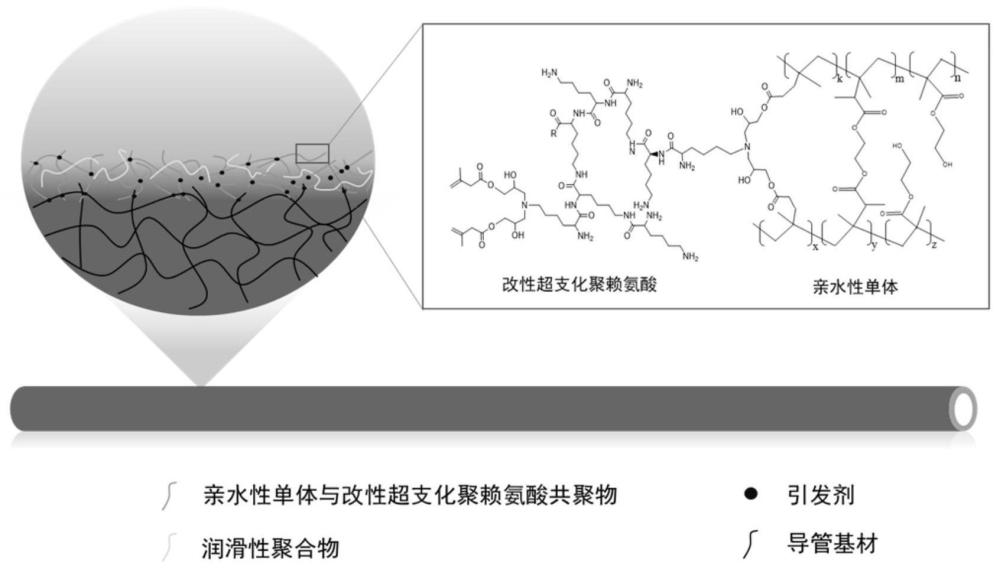 一种一步制备超润滑抗菌医用导管涂层的方法