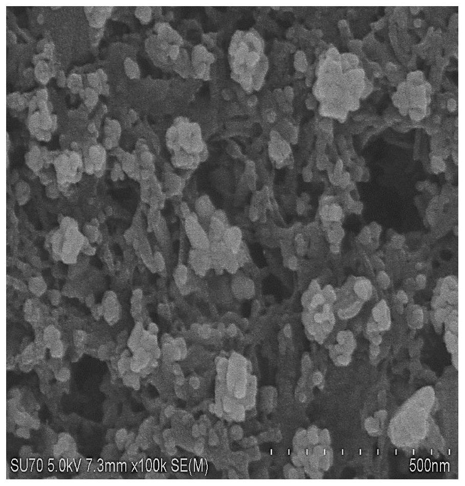 一种石墨相氮化碳/银杂化纳米复合SERS基底的制备方法及其外泌体的检测应用