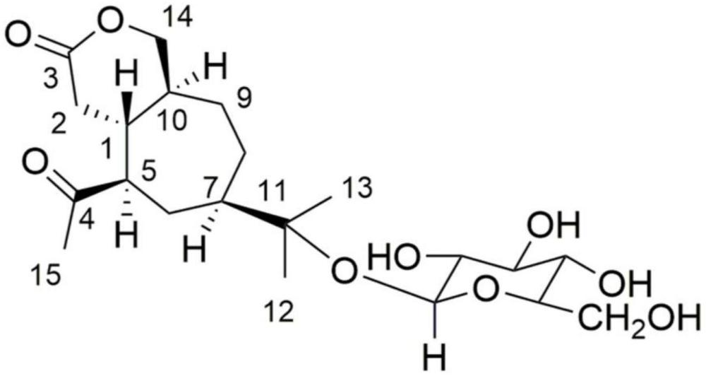 一种愈创木烷型倍半萜苷单体化合物及其制备方法和用途