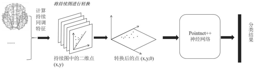 基于PointNet++神经网络和持续同调的脑功能连接网络分类方法