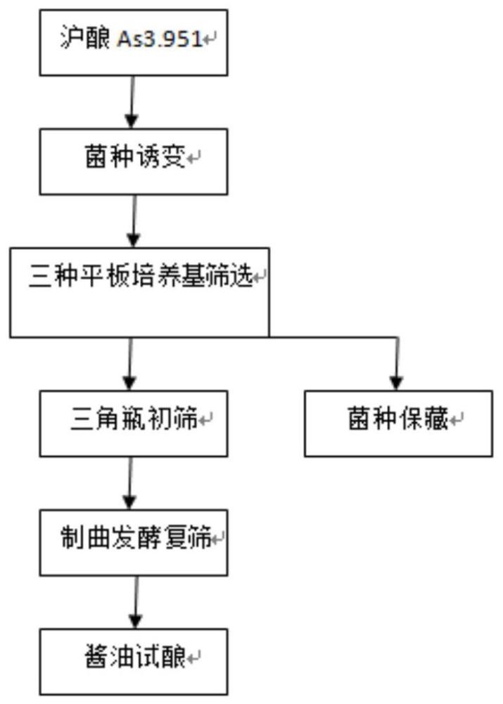 一种米曲霉及其应用的制作方法