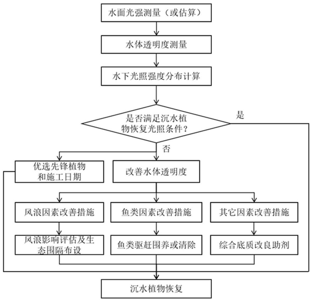 一种沉水植物恢复条件评估及其构建方法与流程