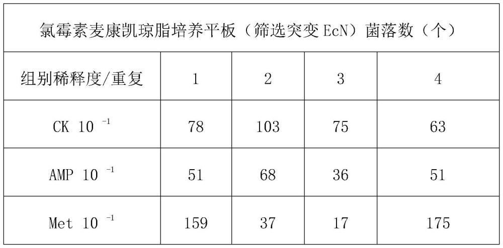 一种检测斑马鱼肠道氧分压的方法及其应用