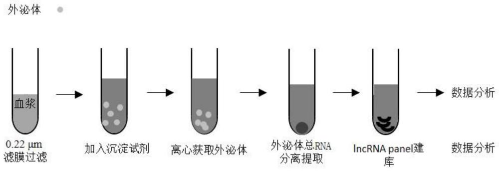 预测肺腺癌免疫治疗不良反应的lncRNA标记物及预测试剂盒的制作方法