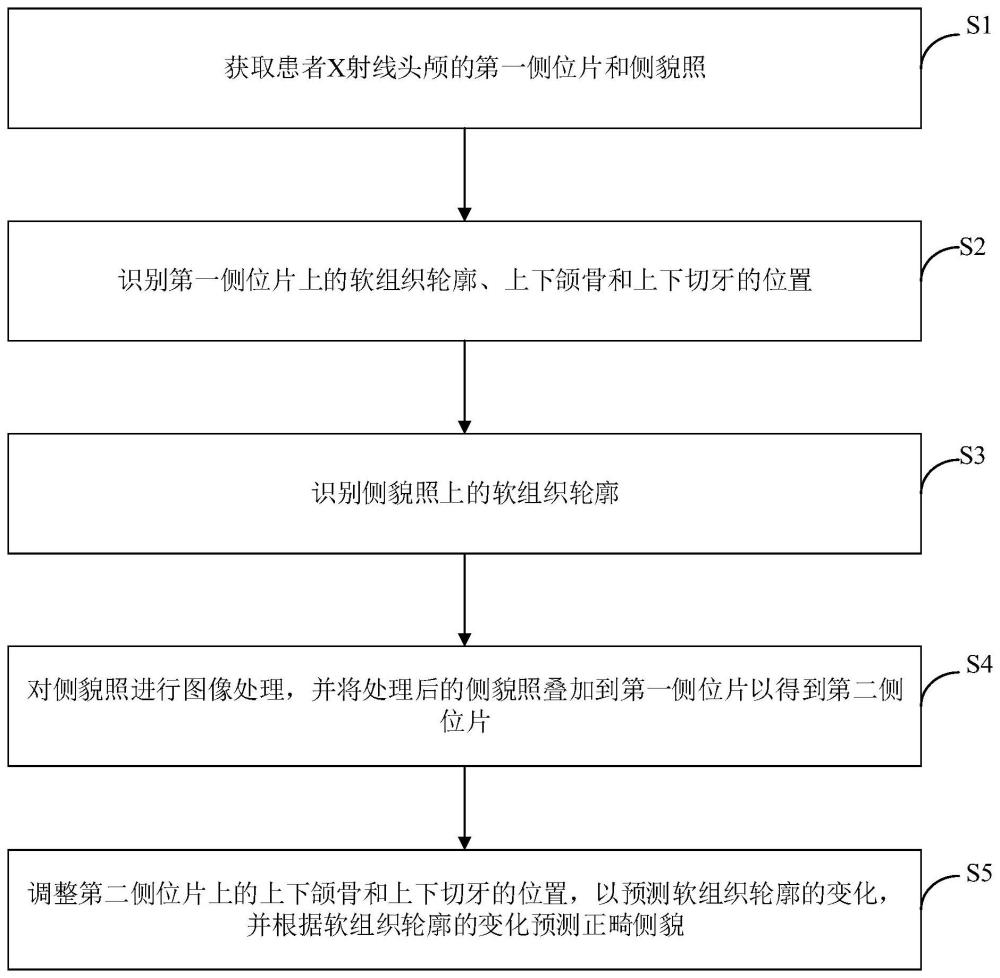 正畸侧貌的预测方法和装置与流程