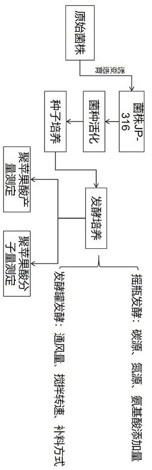 一种基于出芽短梗霉发酵制备高聚合度聚苹果酸的方法与流程