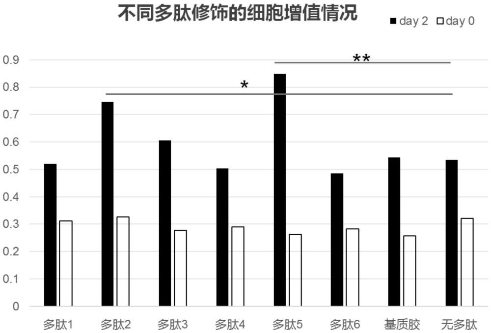 一种多肽偶联海藻酸钠水凝胶及其制备方法和应用与流程