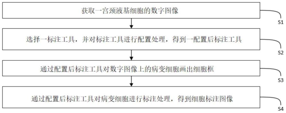 一种宫颈液基细胞的标注方法与流程