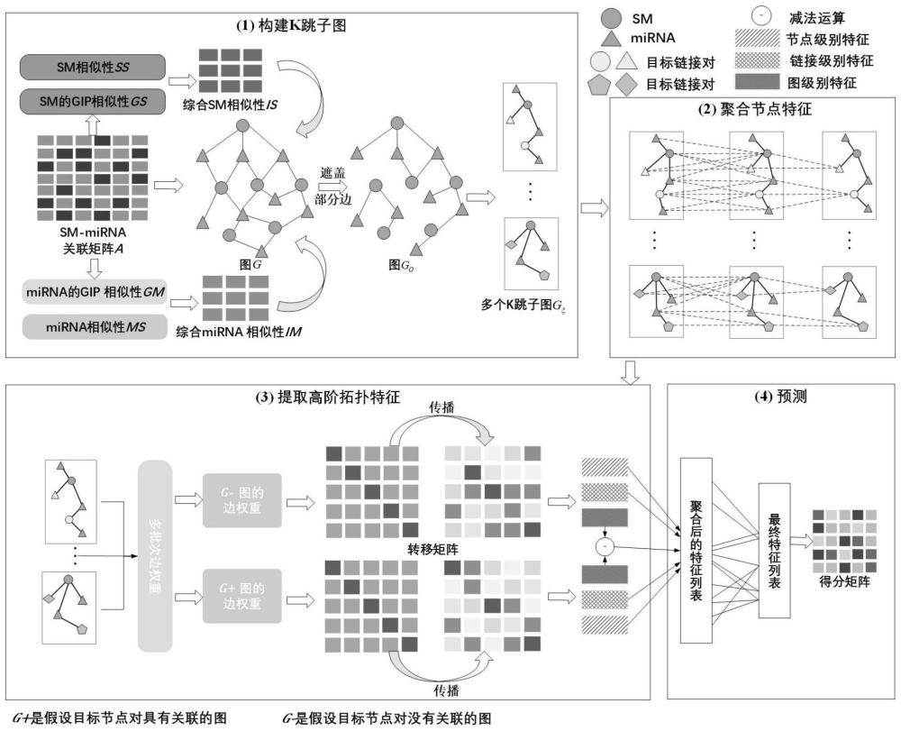 基于高阶拓扑特征SM-miRNA关联预测方法及系统