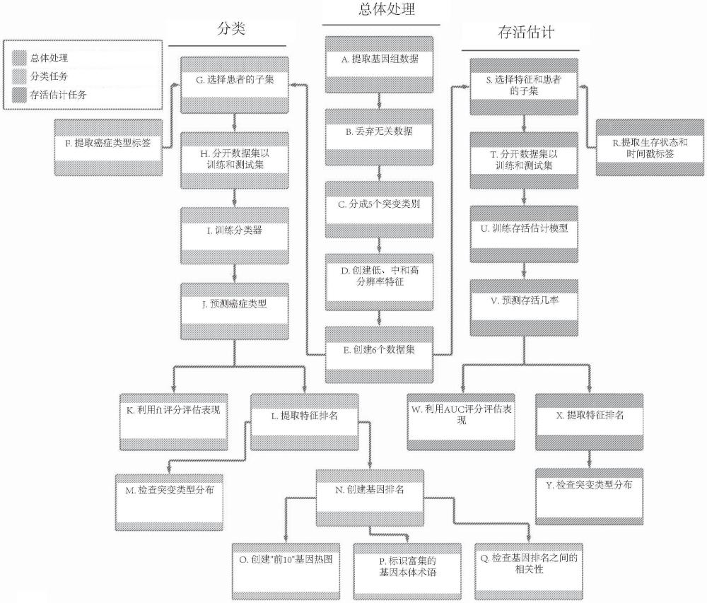 基于沉默和非沉默突变的癌症分类和预后