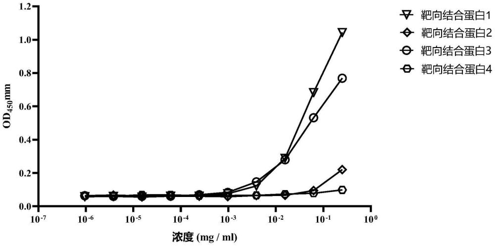 间皮素靶向结合蛋白、其编码核酸以及用途的制作方法