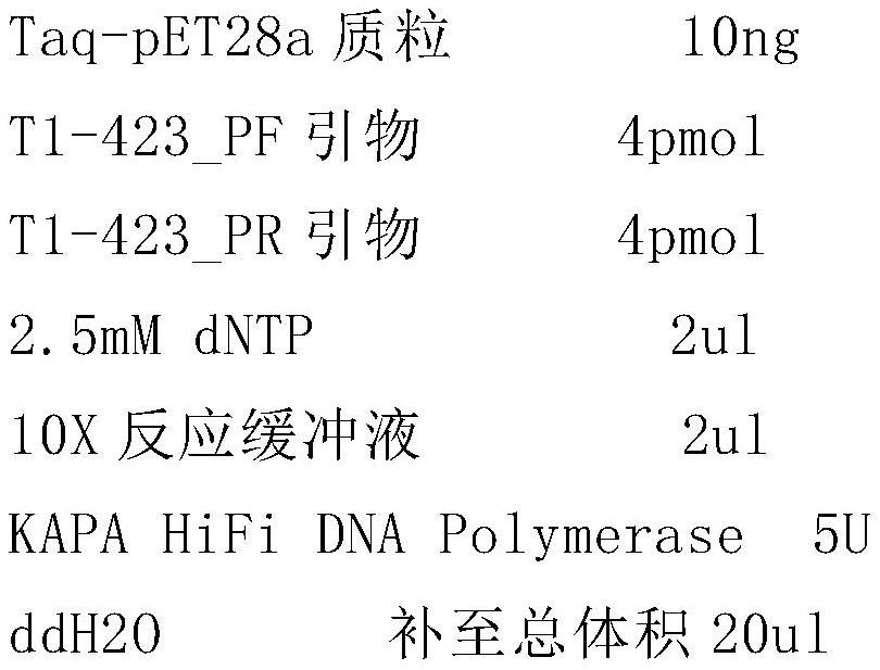 一种具有高扩增活性的Taq酶突变体的制作方法