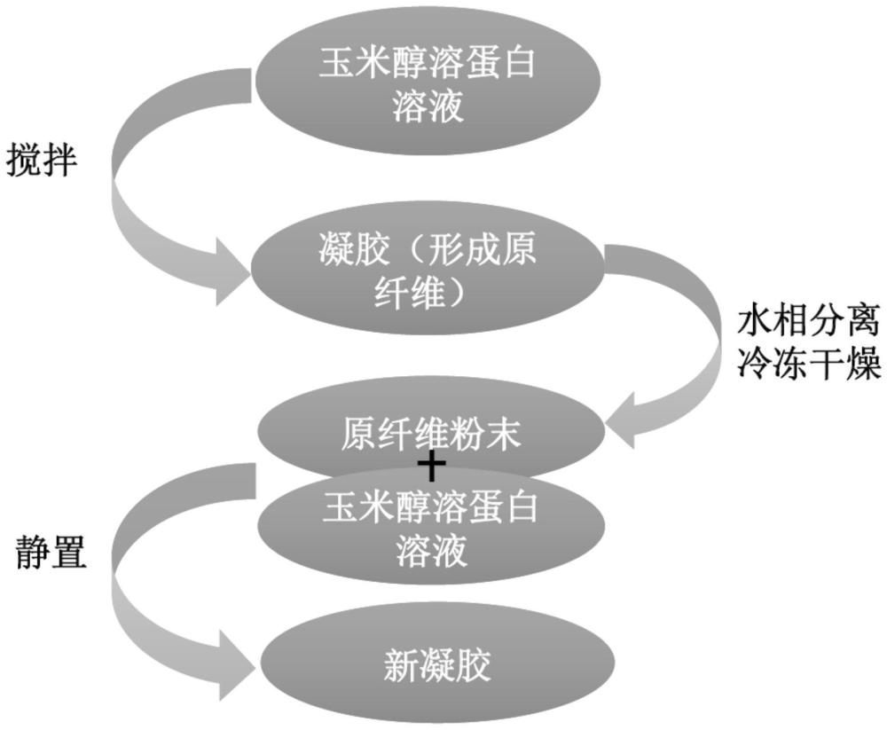 玉米醇溶蛋白原纤维粉末、玉米醇溶蛋白新凝胶及其制备方法和应用