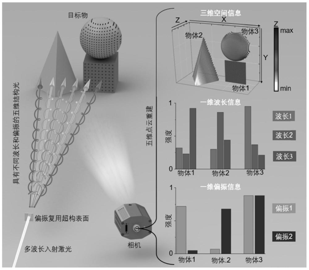 基于偏振复用超构表面的结构光五维成像方法