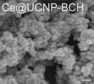 Ce@UCNP-BCH的制备方法及其在脊髓损伤治疗中的应用