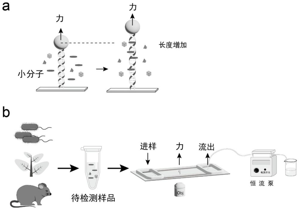 一种分析复杂混合溶液中非共价核酸嵌入剂的方法