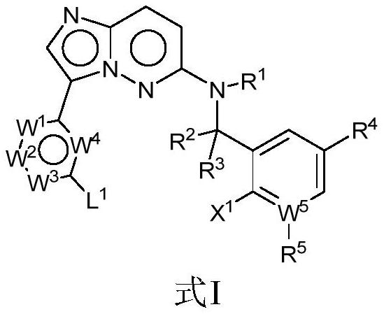 一种咪唑并[1,2-b]哒嗪衍生物及其制备方法和用途与流程