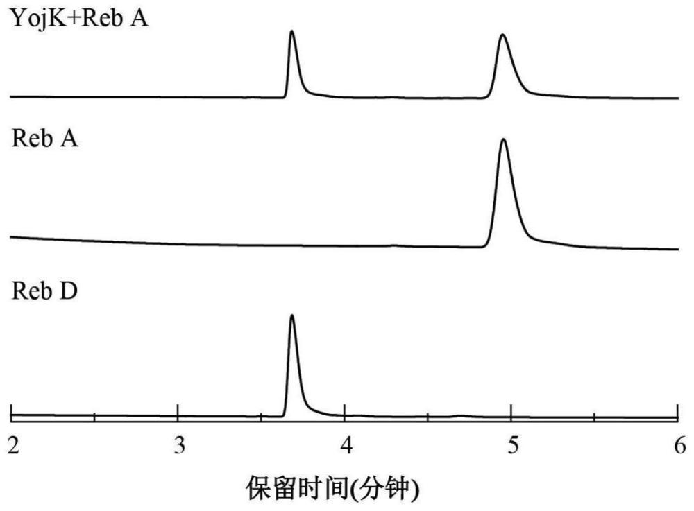 一种利用糖基转移酶高效生物合成莱鲍迪苷D的方法