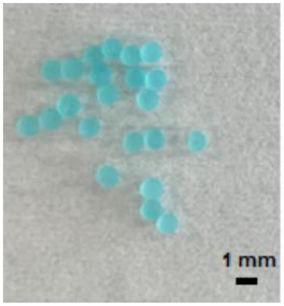 一种基于电场调控的快速制备不同粒径多价金属-海藻酸钠凝胶微球的方法及应用