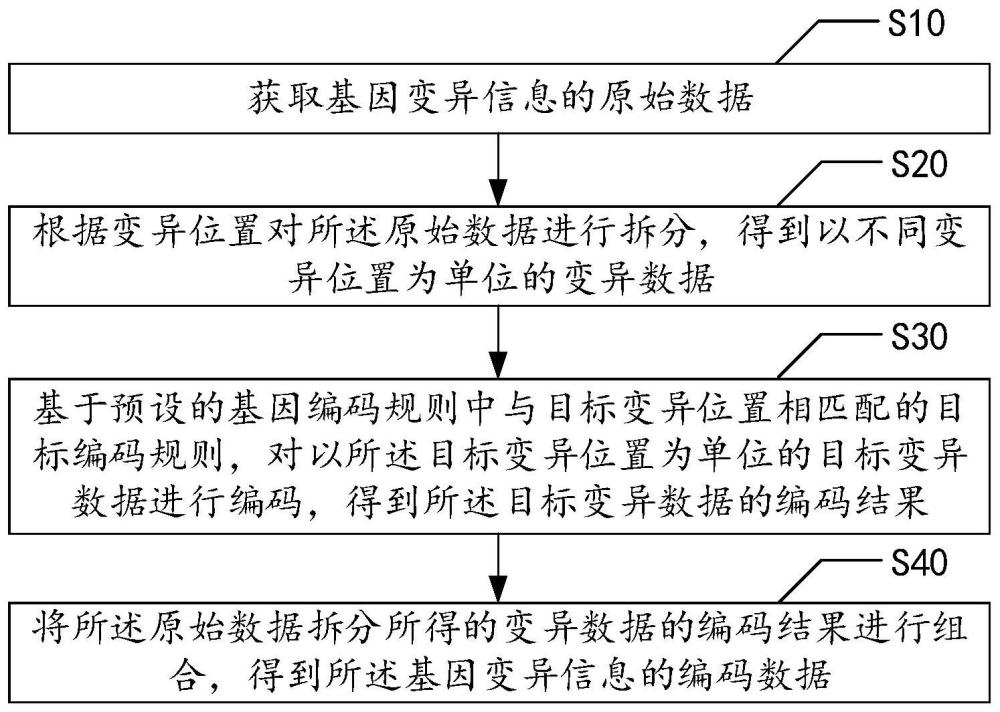 基因变异信息编码方法、装置、设备及其存储介质与流程