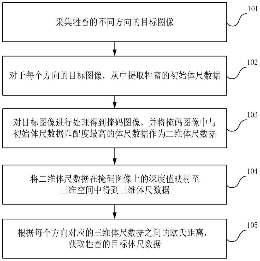 一种牲畜体尺测定方法、装置、电子设备和存储介质