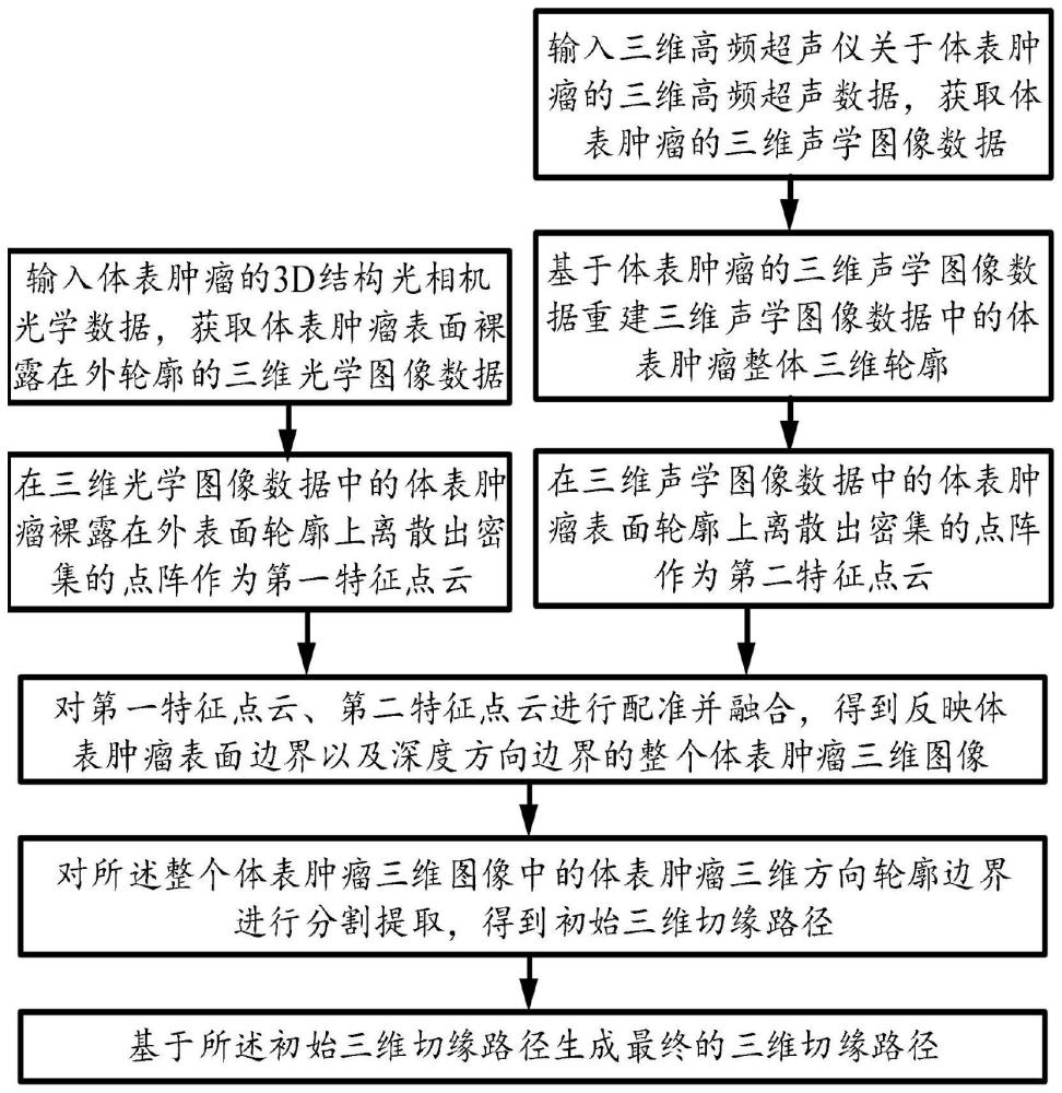 用于体表肿瘤的切缘路径生成方法、装置、设备及介质与流程