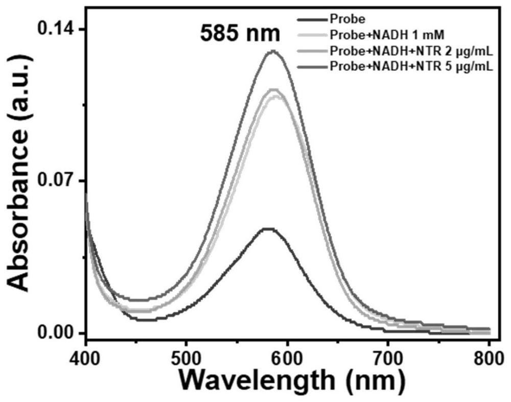 快速检测NAD(P)H和NTR的双酶响应荧光探针及其制备方法