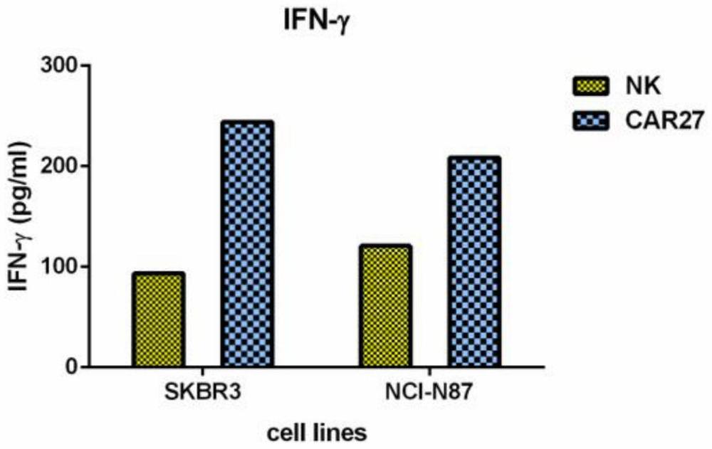 表达mIL-15的HER2靶向CAR-NK细胞的制备及其应用的制作方法