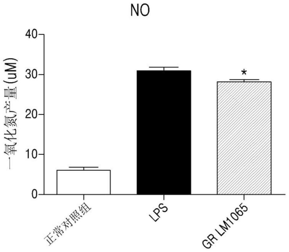 源自母乳的新型格氏乳杆菌LM1065菌株，以及包含所述菌株或其培养物的用于缓解经前期综合征的组合物的制作方法