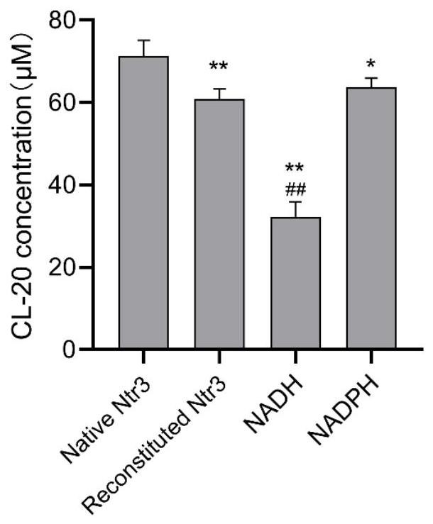 一种重组硝基还原酶Ntr3在降解CL-20中的应用的制作方法