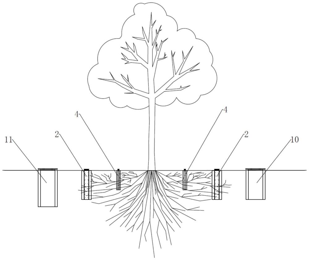 一种古树健康保护的根系诱导结构的制作方法