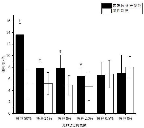 一种用于研究藻类液态分泌物对拟南芥生长影响的培养基的制备方法