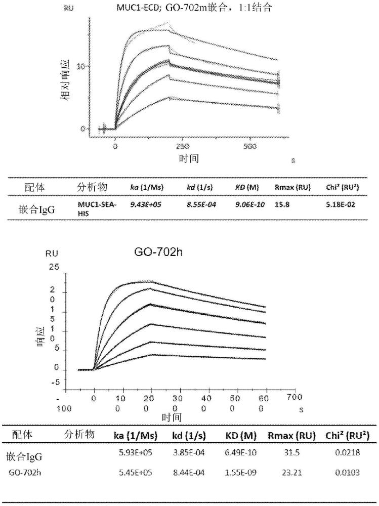 针对MUC1-C/胞外结构域（MUC1-C/ECD）的抗体的制作方法