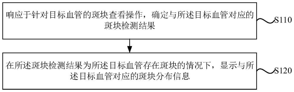 血管斑块的显示方法、装置及存储介质与流程