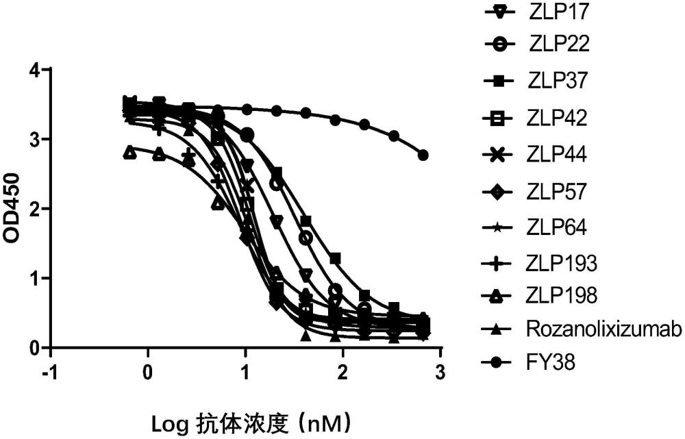 特异性识别fcrn的抗体及其用途的制作方法