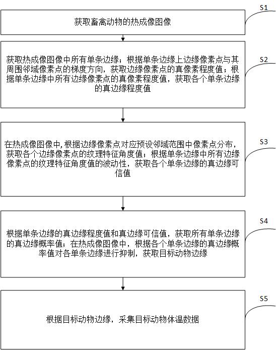 一种基于目标检测的畜禽动物体温检测方法与流程