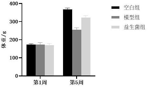 一种预防龋齿、缓解牙周炎的唾液联合乳杆菌LS61及其制药用途、药物和制备方法与流程