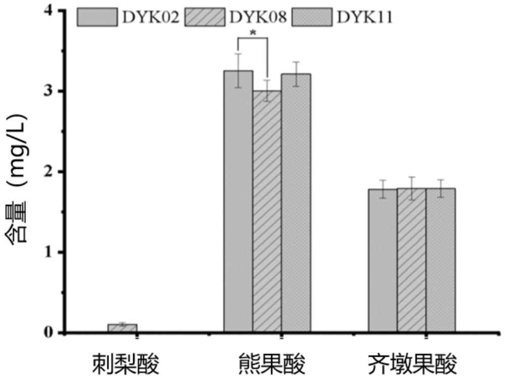 基因工程菌及其构建方法和应用