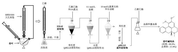 一种新的荷叶碱制备方法