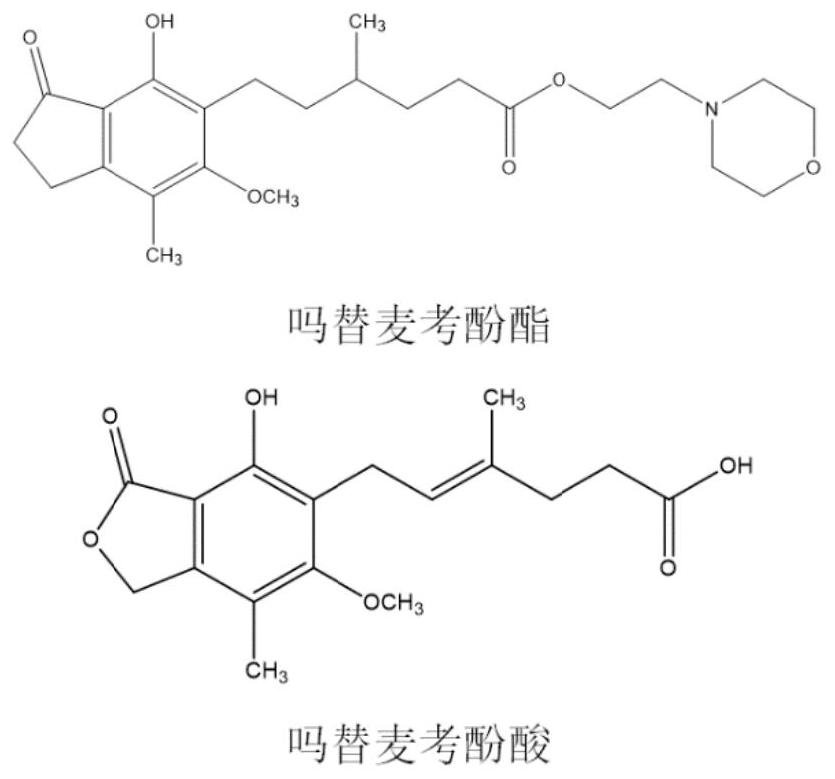 吗替麦考酚酯胃黏附渗透泵控释片及其制备方法与流程