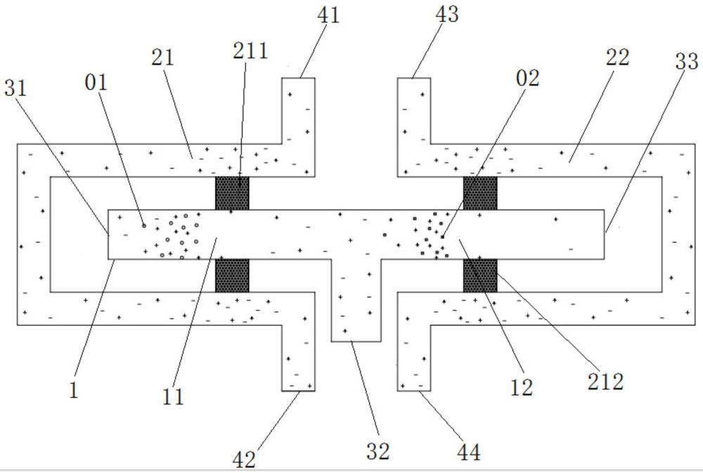 一种基于浓差极化效应的离子富集分离装置及分离方法
