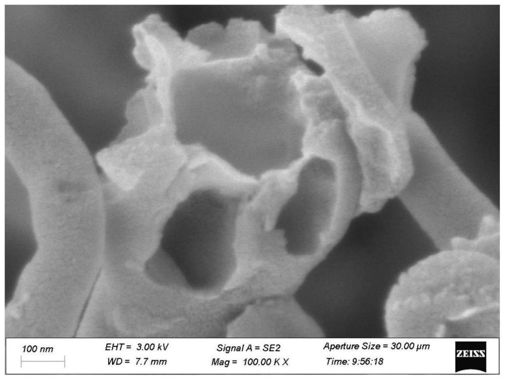 一种氮硫共掺杂多孔道木质素基碳纳米纤维及其制备方法