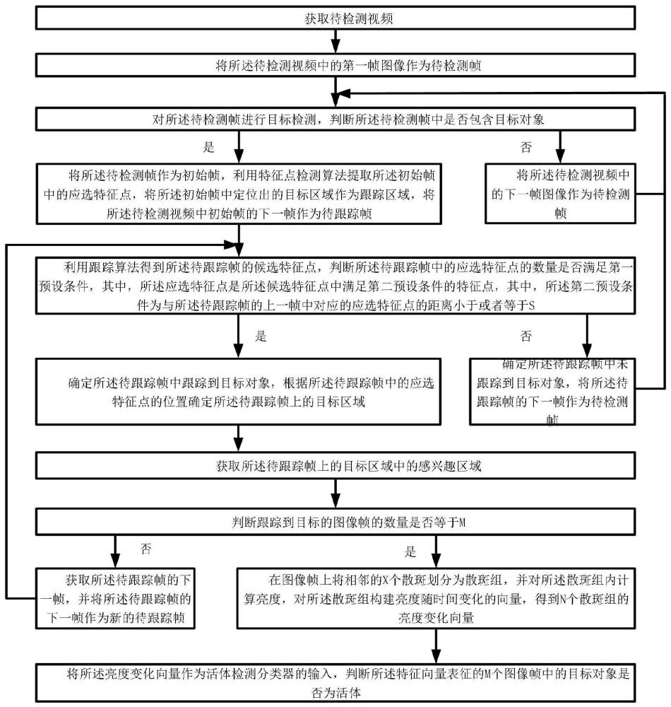 一种视频散斑活体检测方法、系统、设备及存储介质与流程