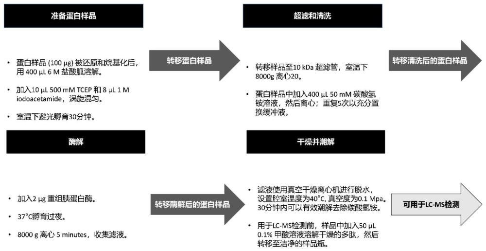 一种新型的EDURISp蛋白质组学样品前处理方法与流程